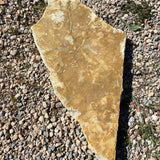 Caliza dorada