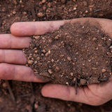 Soil | Mezclum Red Soil & Compost Mix