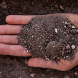 Lawn | Recebo Lawn Substrate