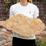 Honey Limestone Flagstone