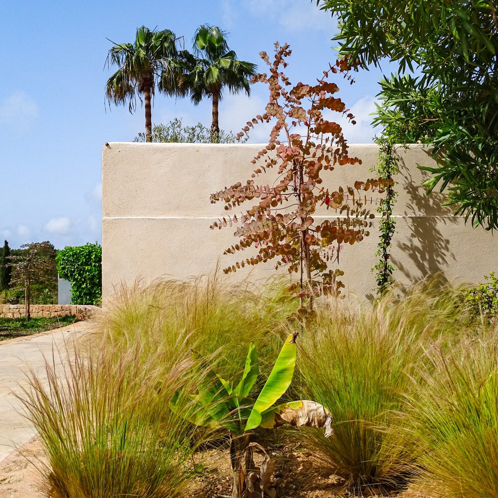 Landscape Design for Ibiza Outdoor Spaces