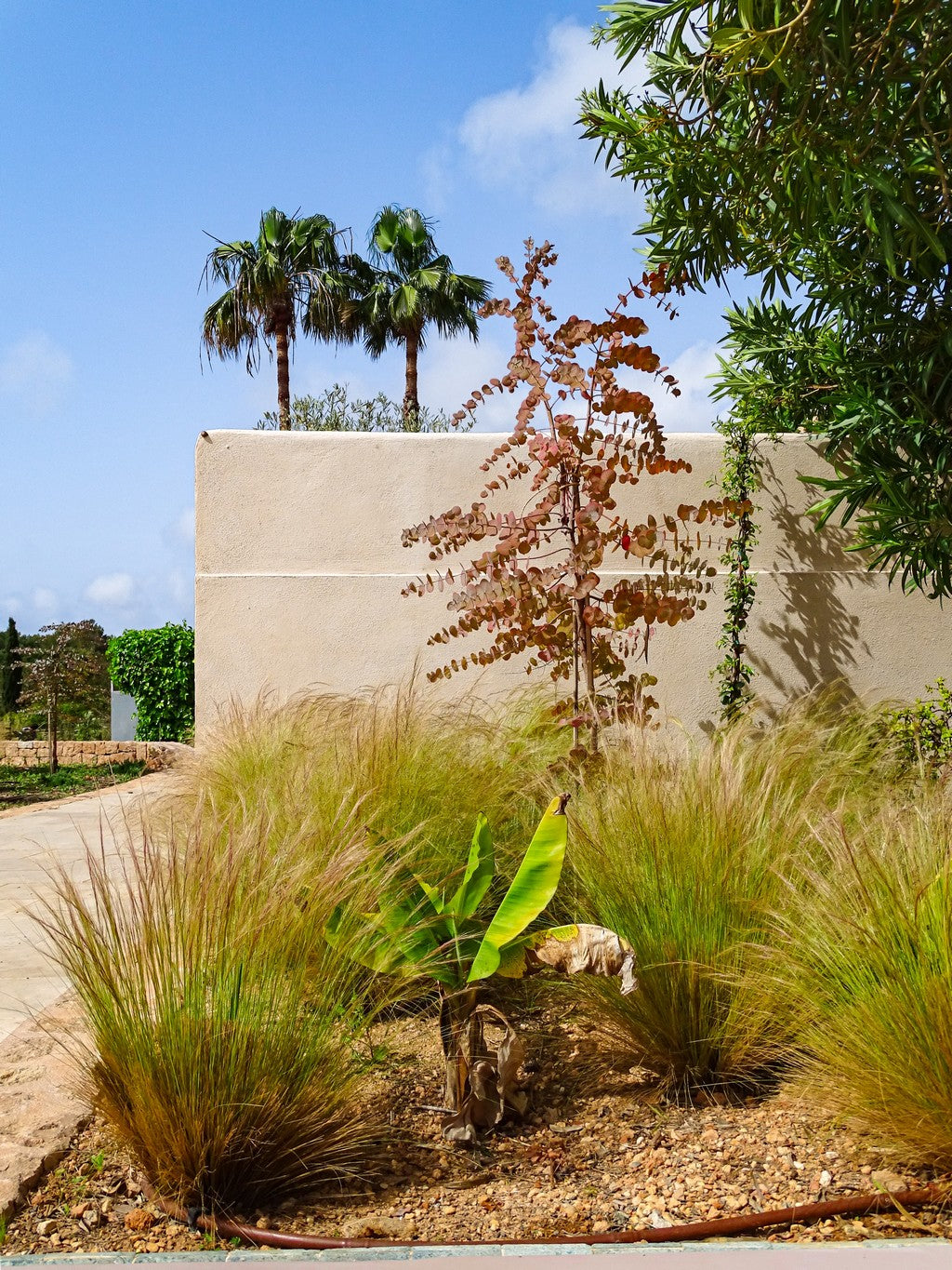 Landscape Design for Ibiza Outdoor Spaces