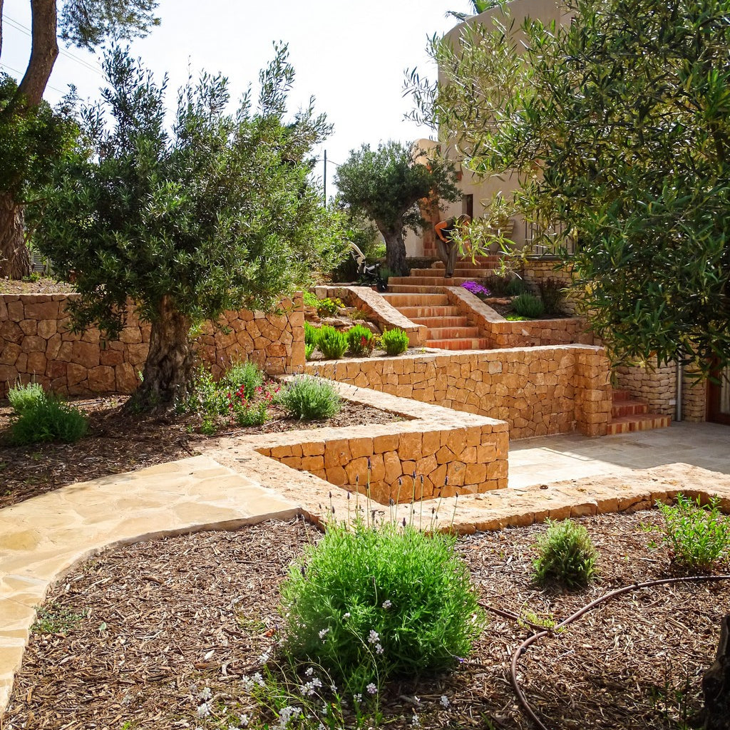 Landscape Design for Ibiza Outdoor Spaces