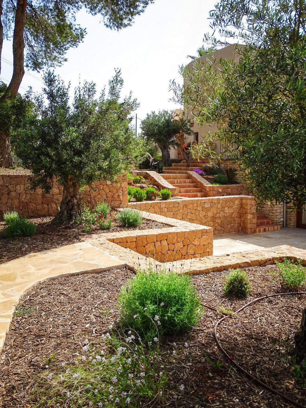 Landscape Design for Ibiza Outdoor Spaces