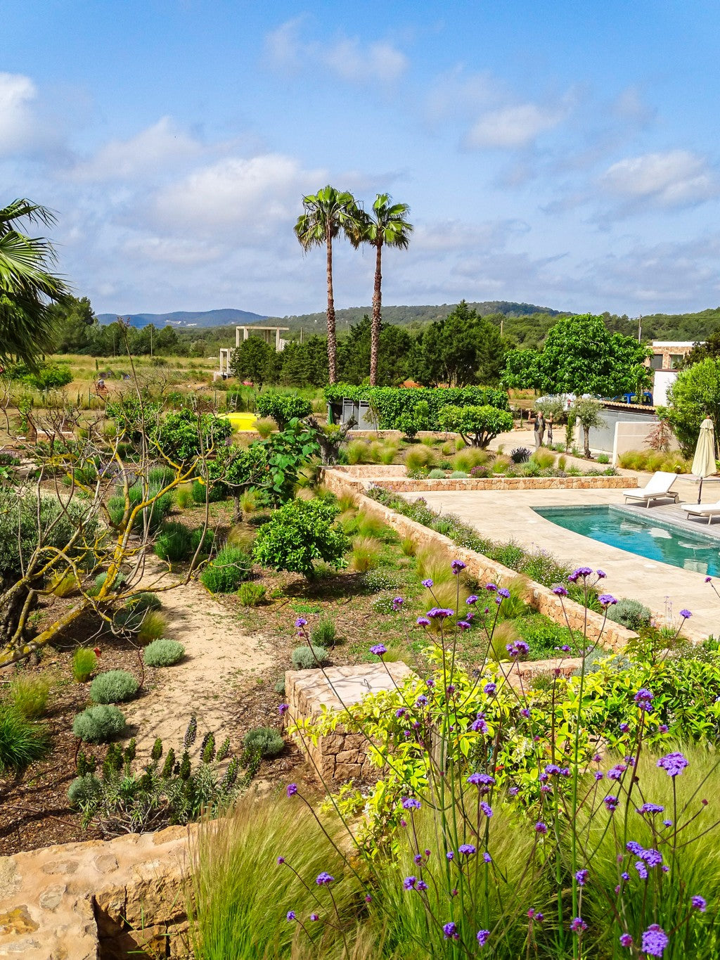 Landscape Design for Ibiza Outdoor Spaces