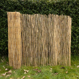 Reed Privacy Screen