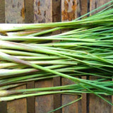 Hierba de limón