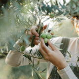 Senior Gardener