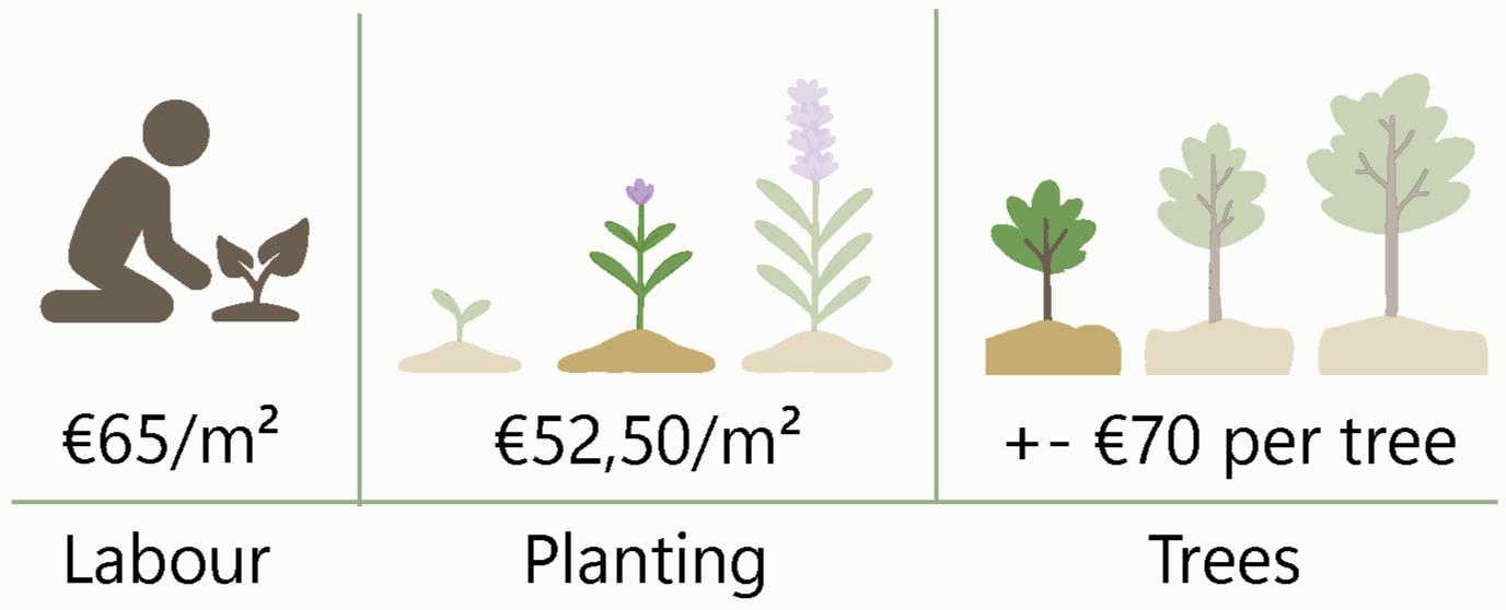 visual_website_prices_siesta
